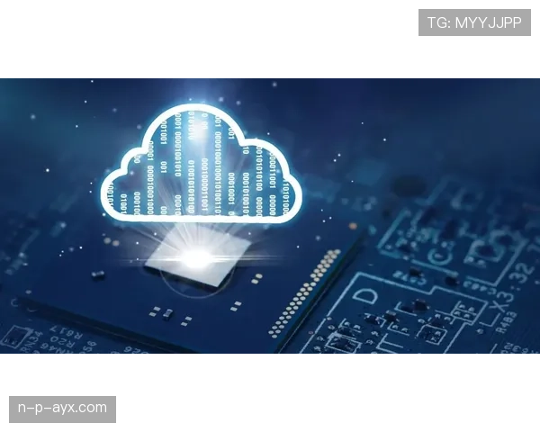 维蒂尼亚技术驱动行业创新,产品质量与效率双提升引关注 维蒂尼亚技术驱动行业创新,产品质量与效率双提升引关注