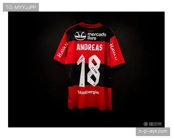 弗拉门戈豪赌未来！新星Vini加盟引爆球迷期待