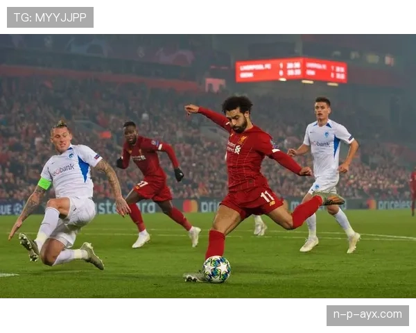 亨克迎战新赛程，球迷期待球队延续上升势头