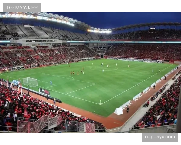 从传奇先锋到现代偶像：《足球巨星简史》揭示球场背后的辉煌与困惑