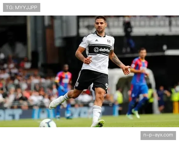 富勒姆与米特罗维奇达成续约协议，核心前锋未来去向引关注