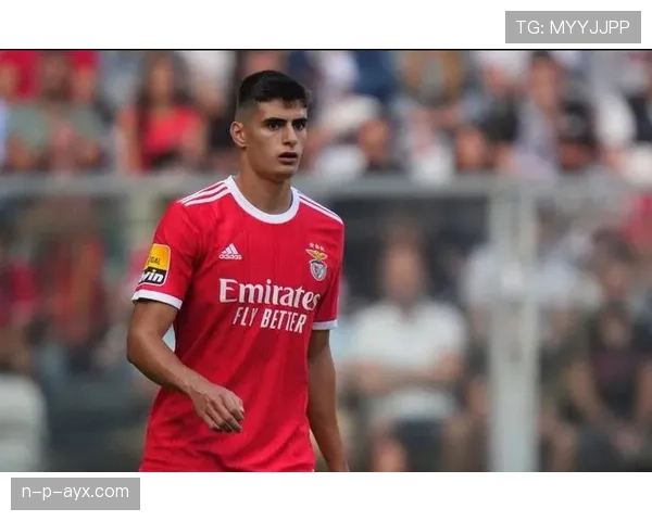 安东尼奥·诺里近期表现稳健,状态持续提升 安东尼奥·诺里近期表现稳健,状态持续提升