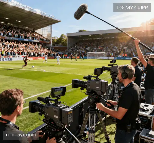 我们领先行业的理由